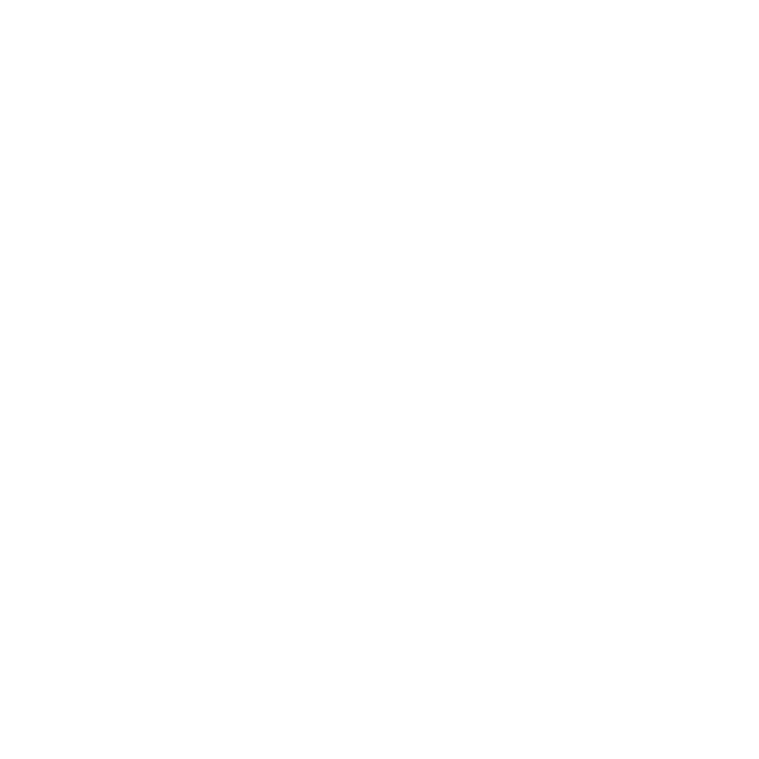 Ryvo Co